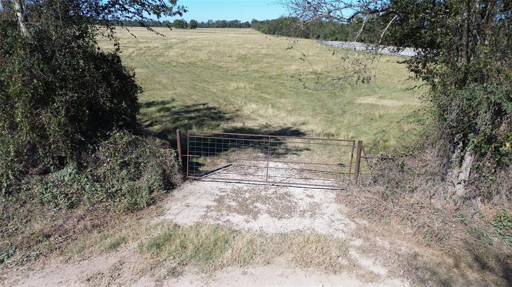 TBD Ashworth Lane, Pennington, Texas image 8
