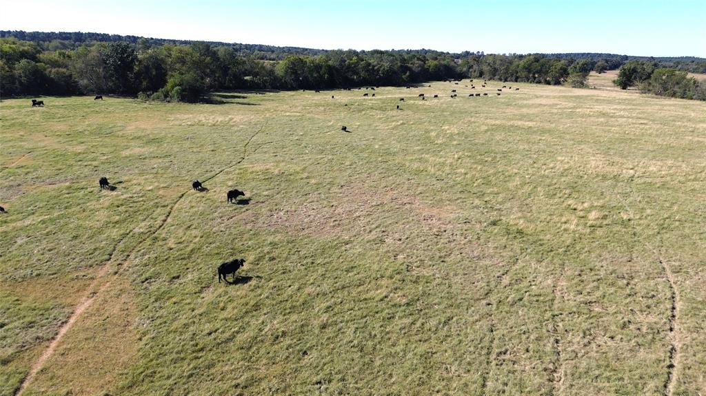 TBD Ashworth Lane, Pennington, Texas image 14