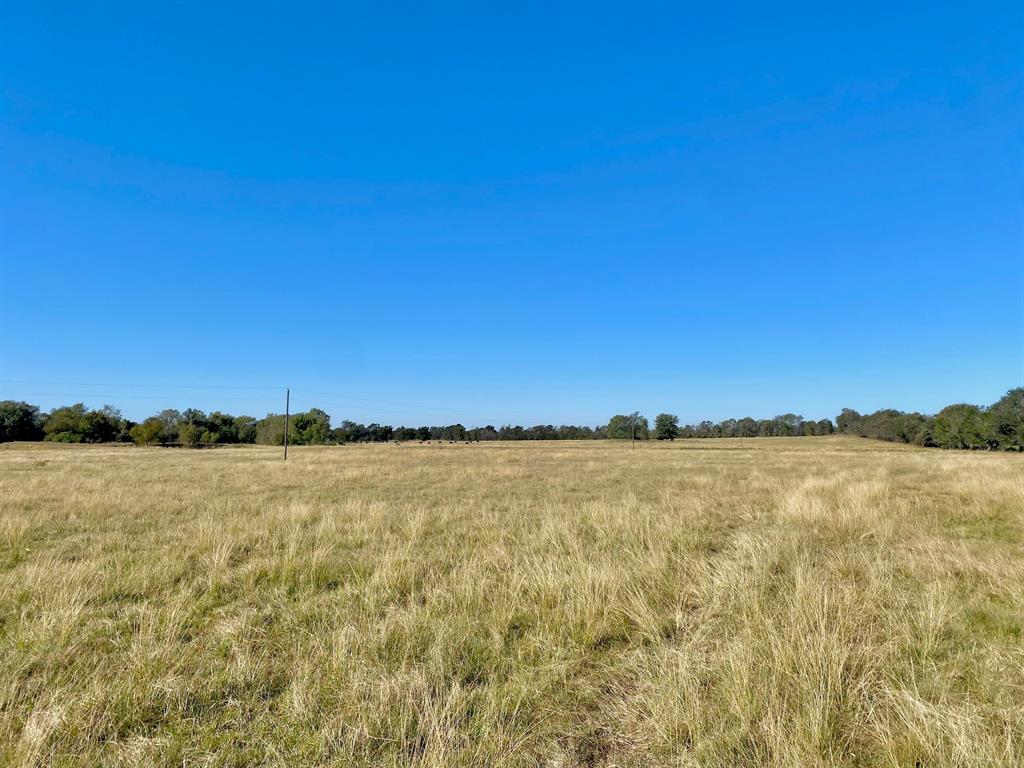 TBD Ashworth Lane, Pennington, Texas image 23