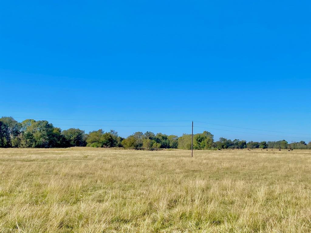 TBD Ashworth Lane, Pennington, Texas image 24