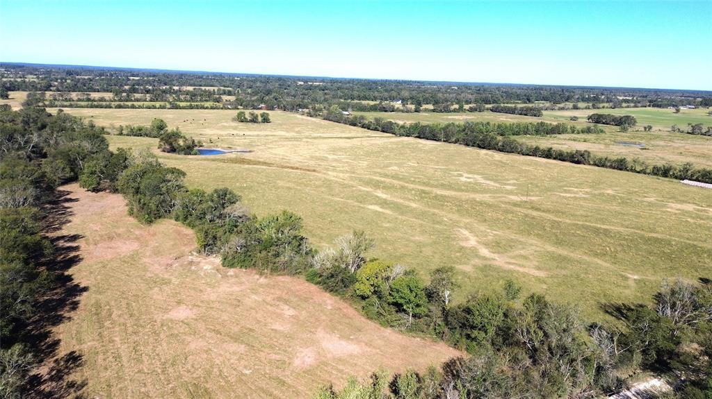 TBD Ashworth Lane, Pennington, Texas image 5