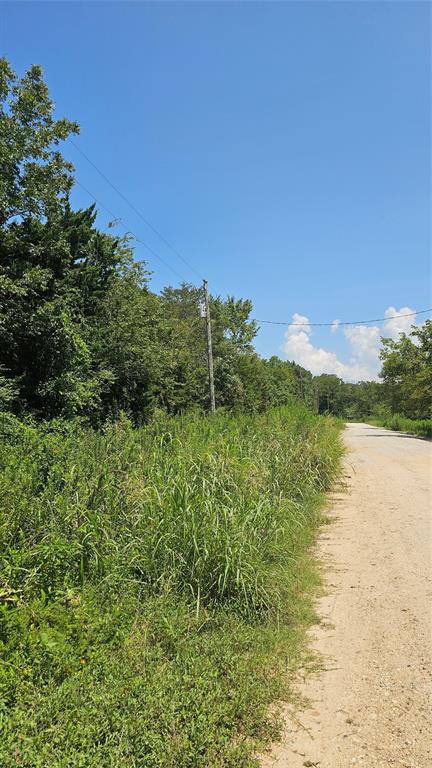 TBD Briar Hill Lane, Coldspring, Texas image 3