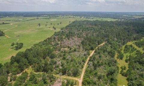 Photo of 3 Cardinal, Hempstead, TX 77445 (MLS # 2315179) Photo of 3 Cardinal, Hempstead, TX 77445 (MLS # 2315179)