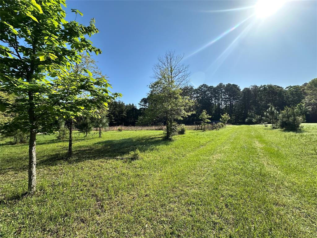 725 County Road 4364, Spurger, Texas image 7