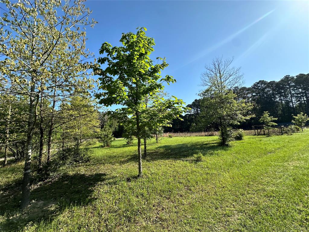 725 County Road 4364, Spurger, Texas image 8