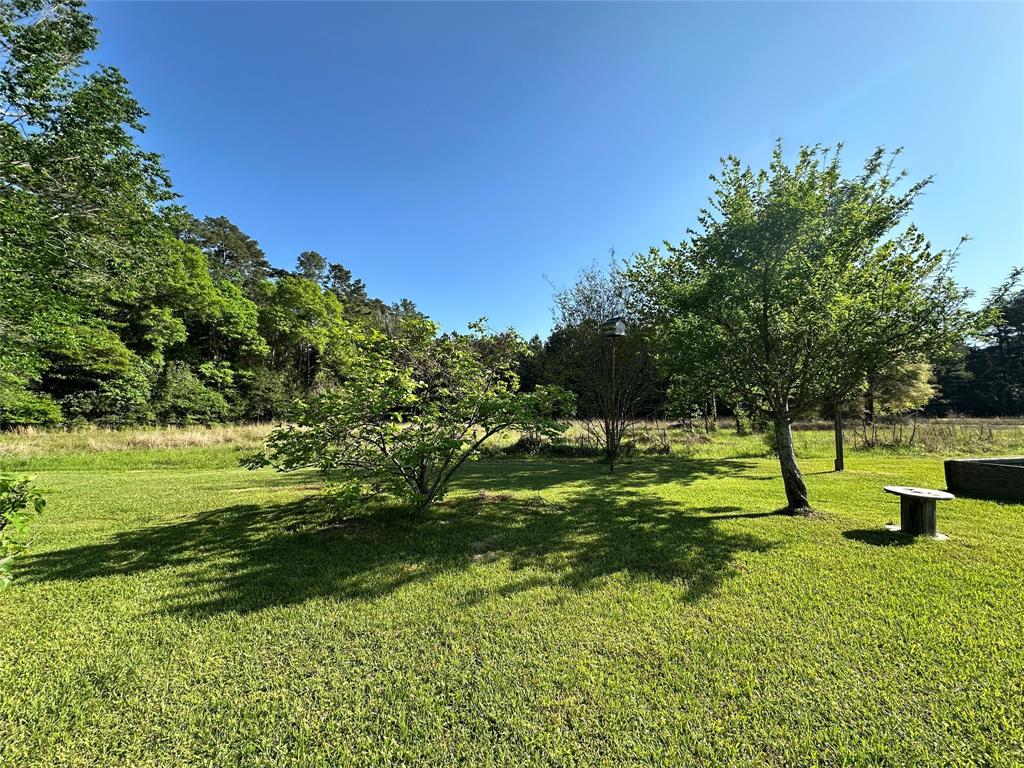 725 County Road 4364, Spurger, Texas image 12