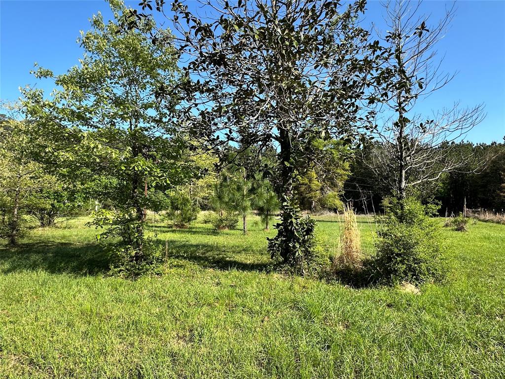 725 County Road 4364, Spurger, Texas image 4