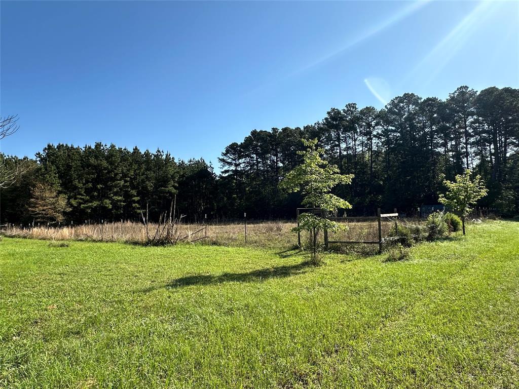 725 County Road 4364, Spurger, Texas image 5