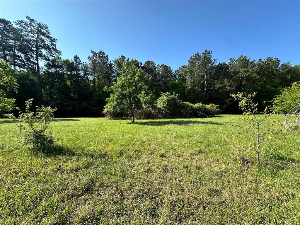 725 County Road 4364, Spurger, Texas image 6