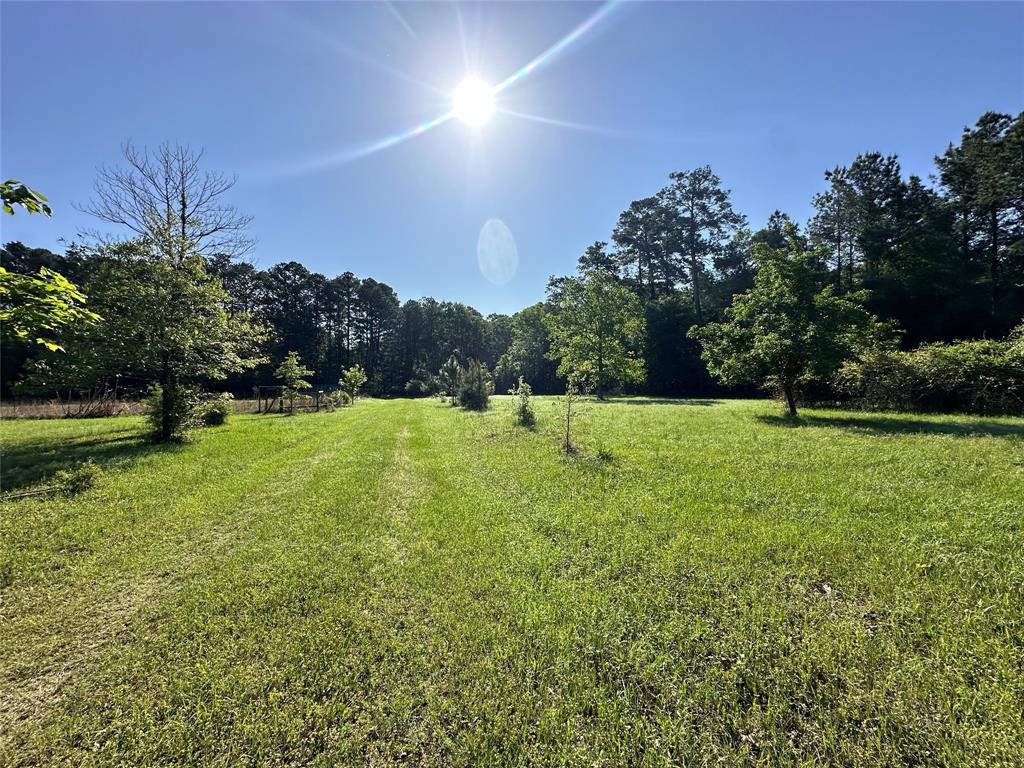 725 County Road 4364, Spurger, Texas image 9