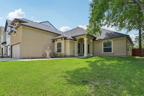 12885 Andromeda Court Willis TX 77318