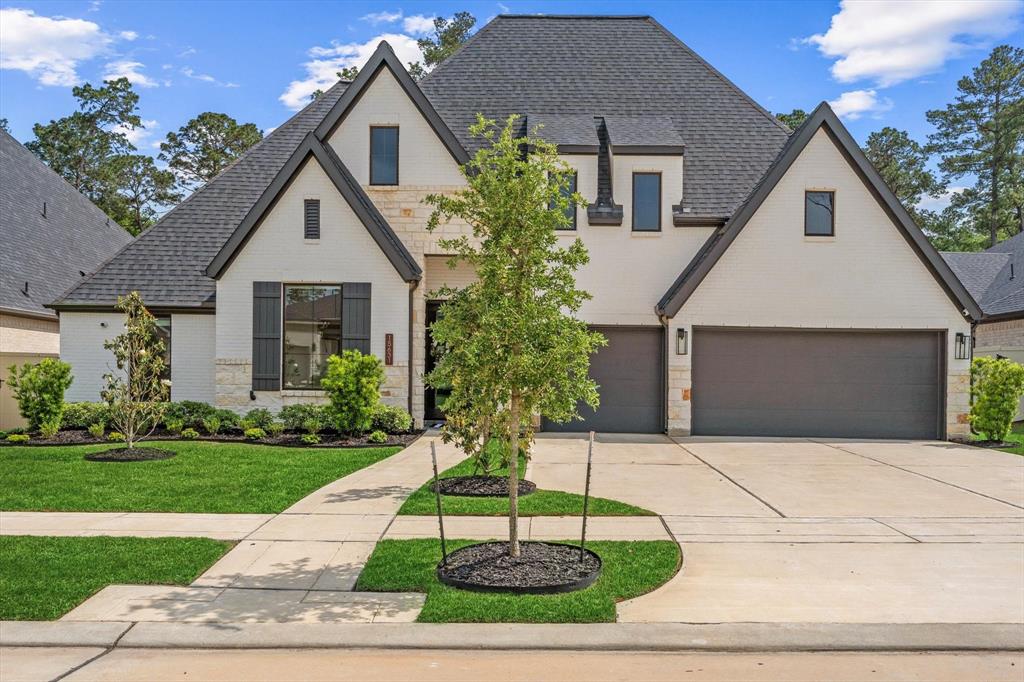 15631 Audubon Park Drive, Magnolia, Texas image 1