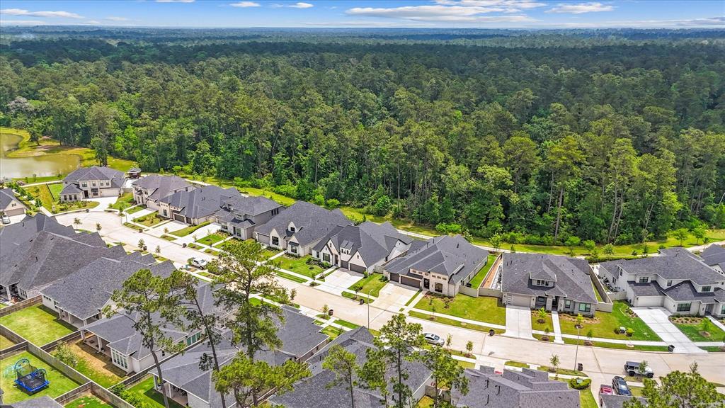 15631 Audubon Park Drive, Magnolia, Texas image 46
