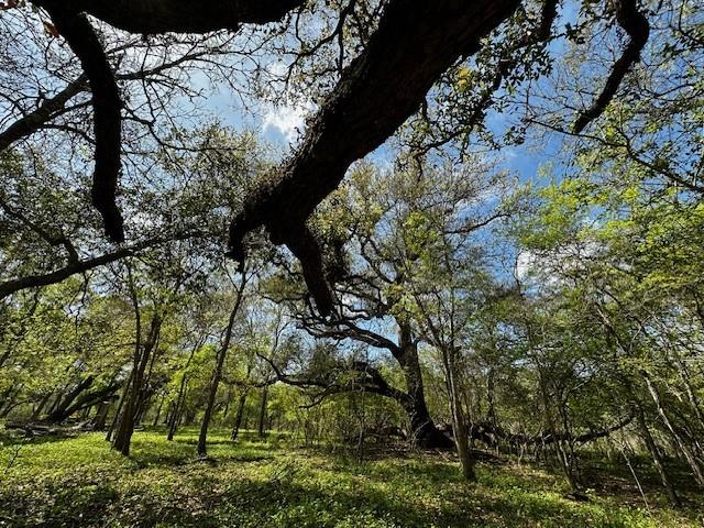 1405 Brazos River Road, Freeport, Texas image 11