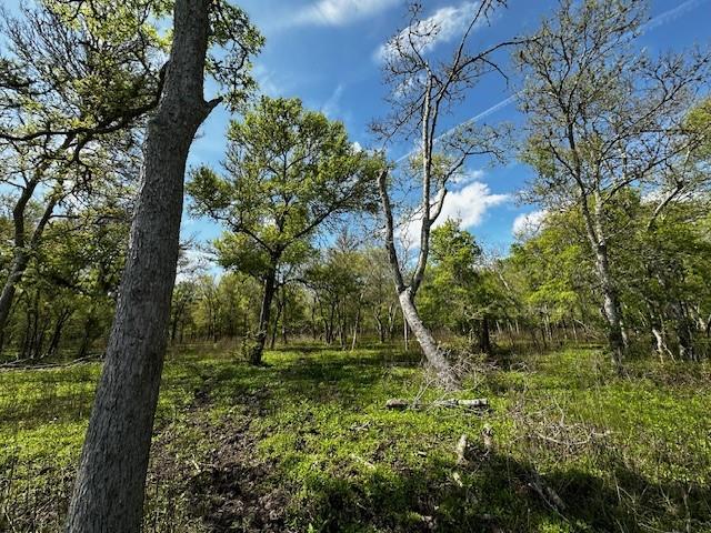 1405 Brazos River Road, Freeport, Texas image 9