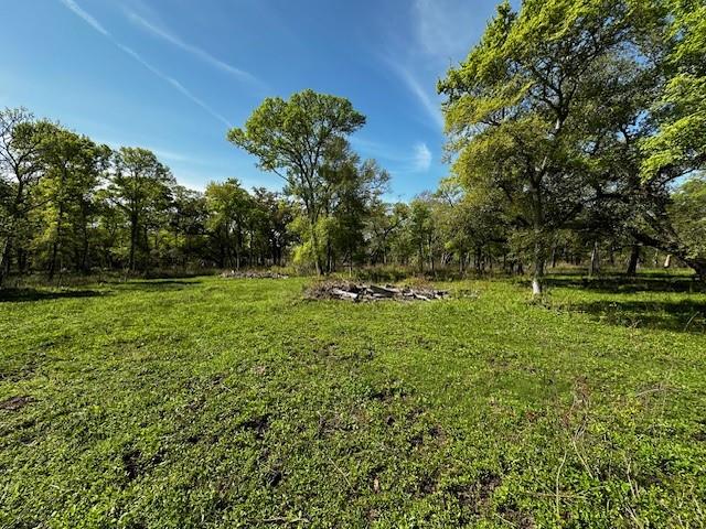 1405 Brazos River Road, Freeport, Texas image 16