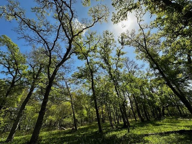 1405 Brazos River Road, Freeport, Texas image 14