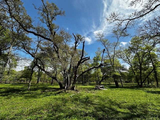 1405 Brazos River Road, Freeport, Texas image 12