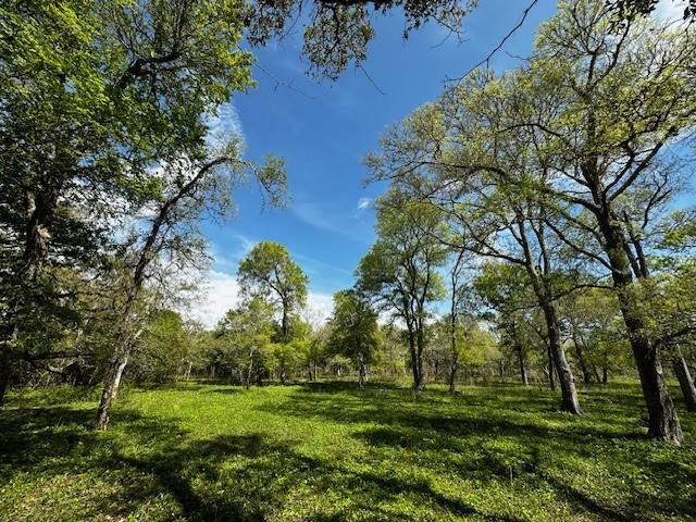 1405 Brazos River Road, Freeport, Texas image 10