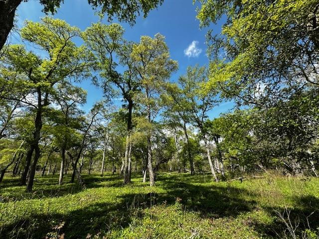 1405 Brazos River Road, Freeport, Texas image 13