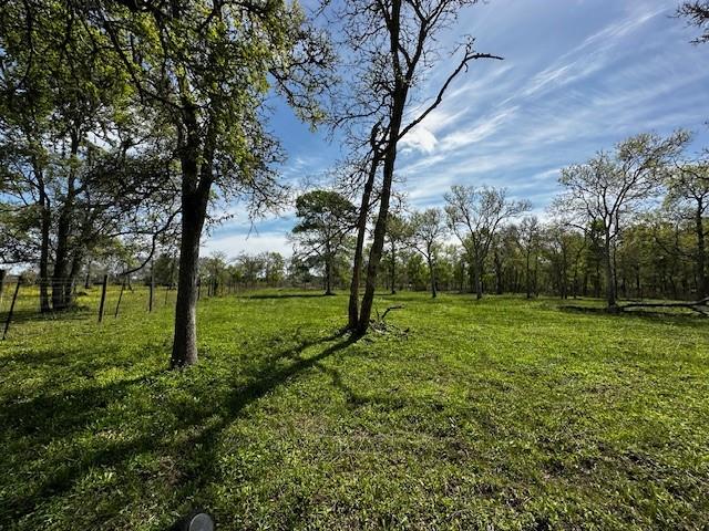 1405 Brazos River Road, Freeport, Texas image 7