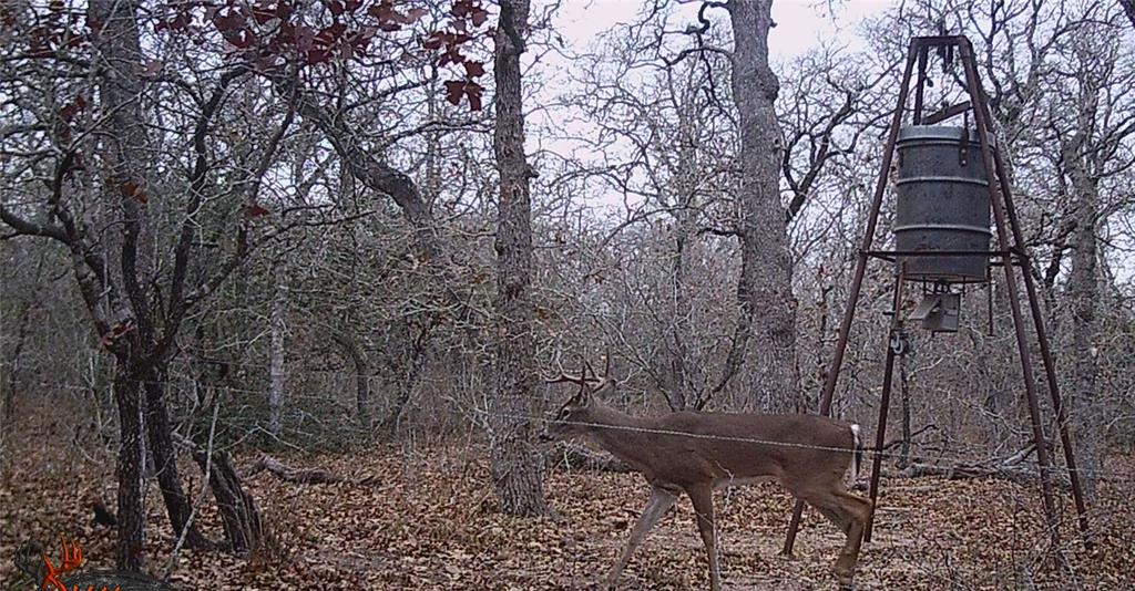 Old Seguin Luling Road, Kingsbury, Texas image 16