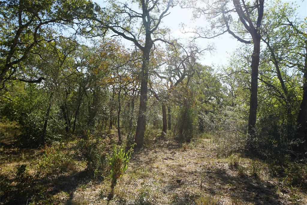 Old Seguin Luling Road, Kingsbury, Texas image 25