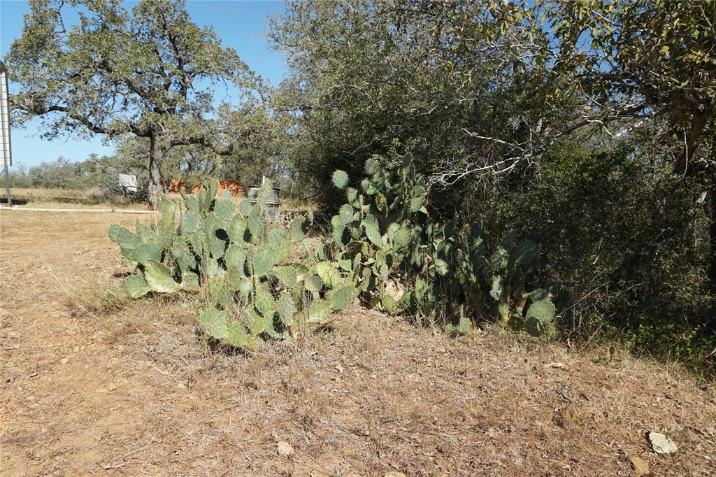 Old Seguin Luling Road, Kingsbury, Texas image 27