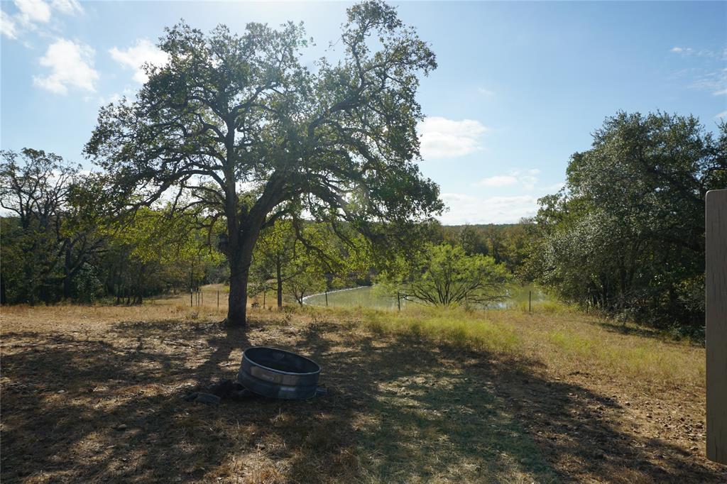 Old Seguin Luling Road, Kingsbury, Texas image 5