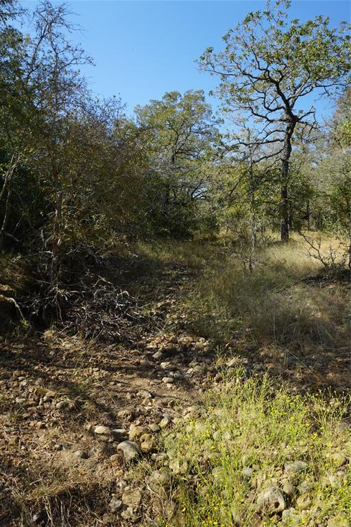 Old Seguin Luling Road, Kingsbury, Texas image 23