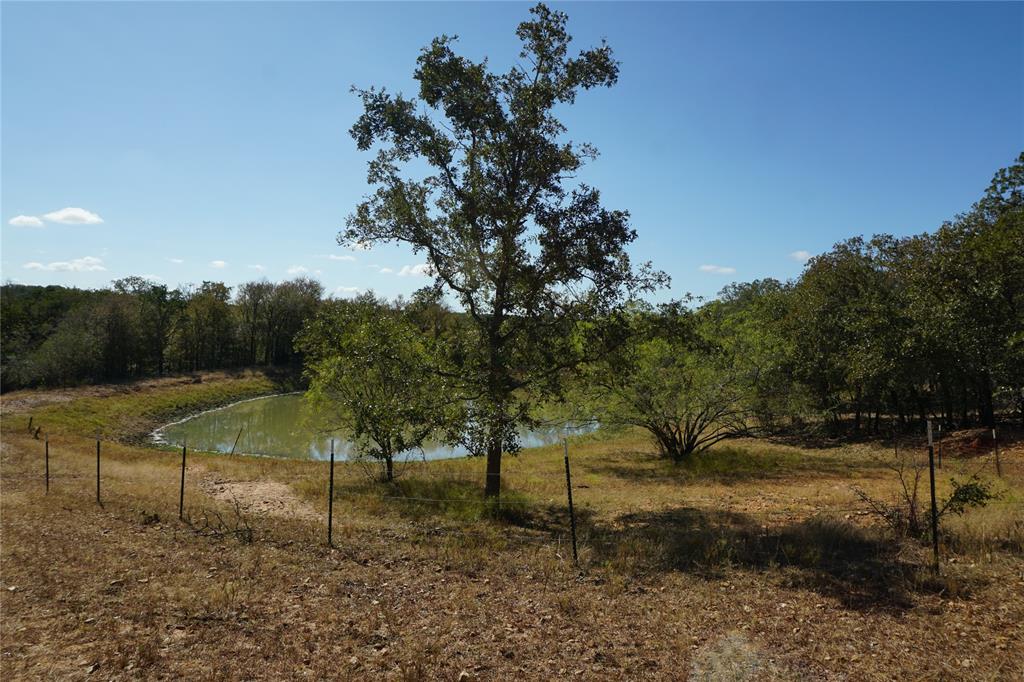 Old Seguin Luling Road, Kingsbury, Texas image 1