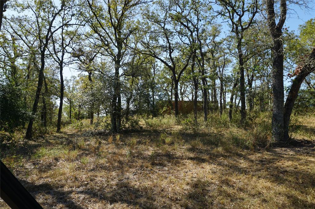 Old Seguin Luling Road, Kingsbury, Texas image 24