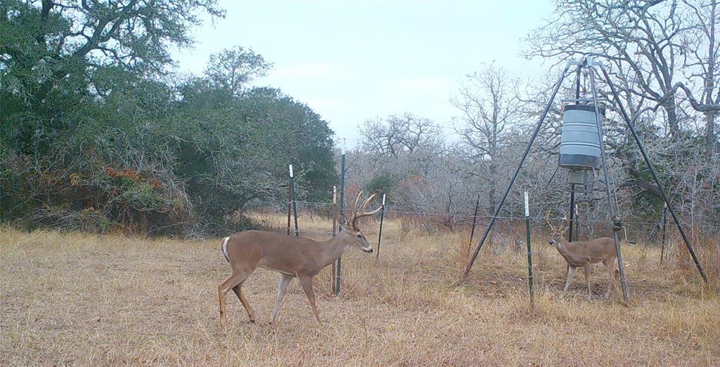 Old Seguin Luling Road, Kingsbury, Texas image 15