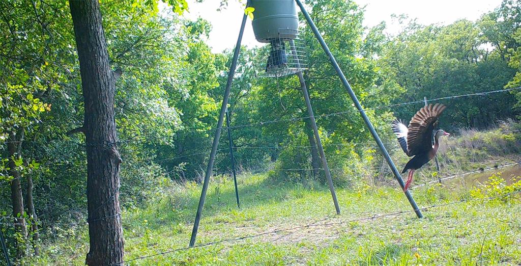 Old Seguin Luling Road, Kingsbury, Texas image 13