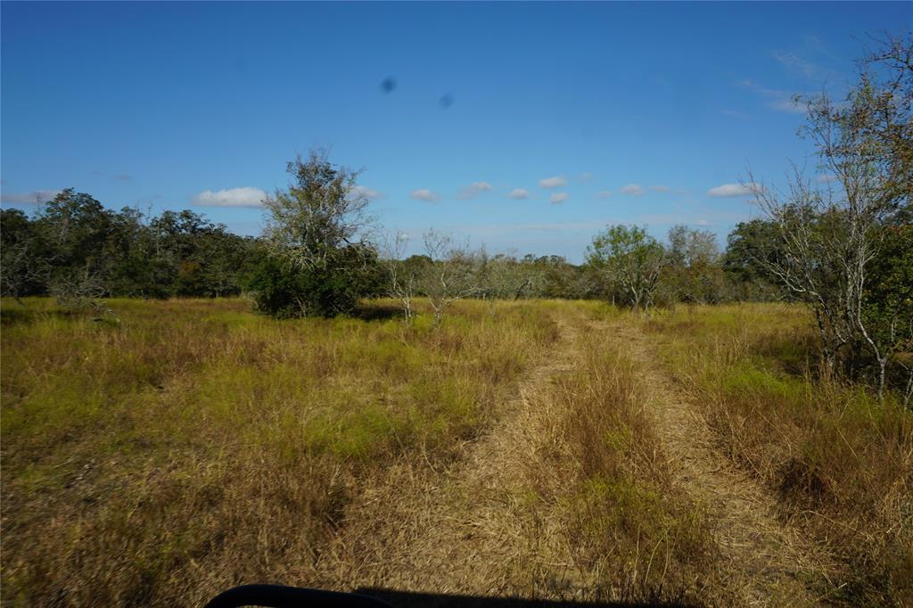 Old Seguin Luling Road, Kingsbury, Texas image 17