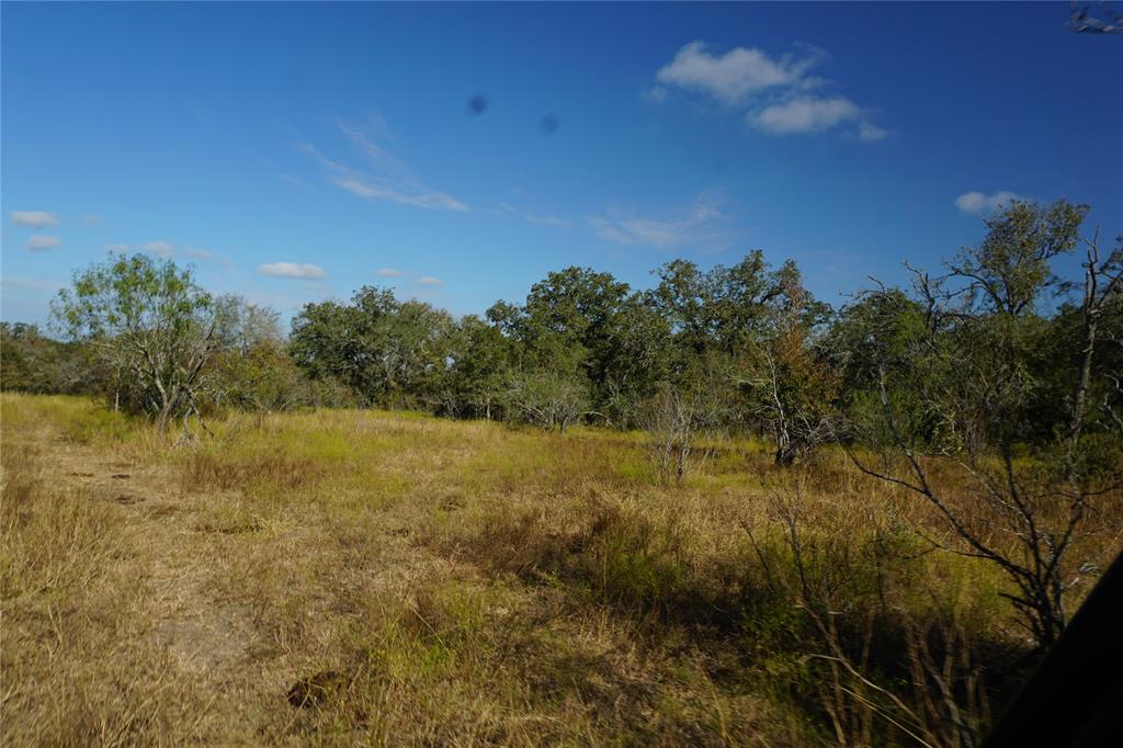 Old Seguin Luling Road, Kingsbury, Texas image 18