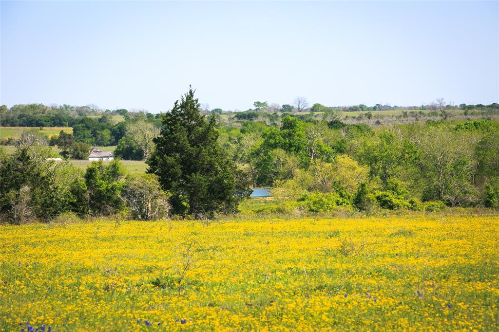 103 Acres Chadwick Hogan Road, Chappell Hill, Texas image 3