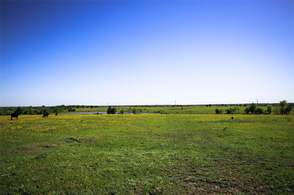 103 Acres Chadwick Hogan Road, Chappell Hill, Texas image 7