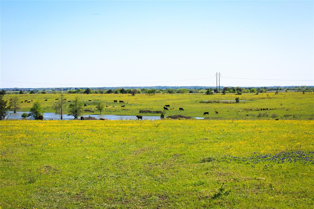 103 Acres Chadwick Hogan Road, Chappell Hill, Texas image 6