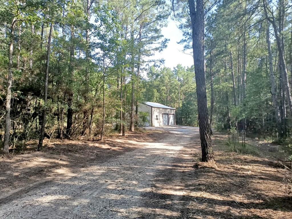 TBD Deep Forest Trail