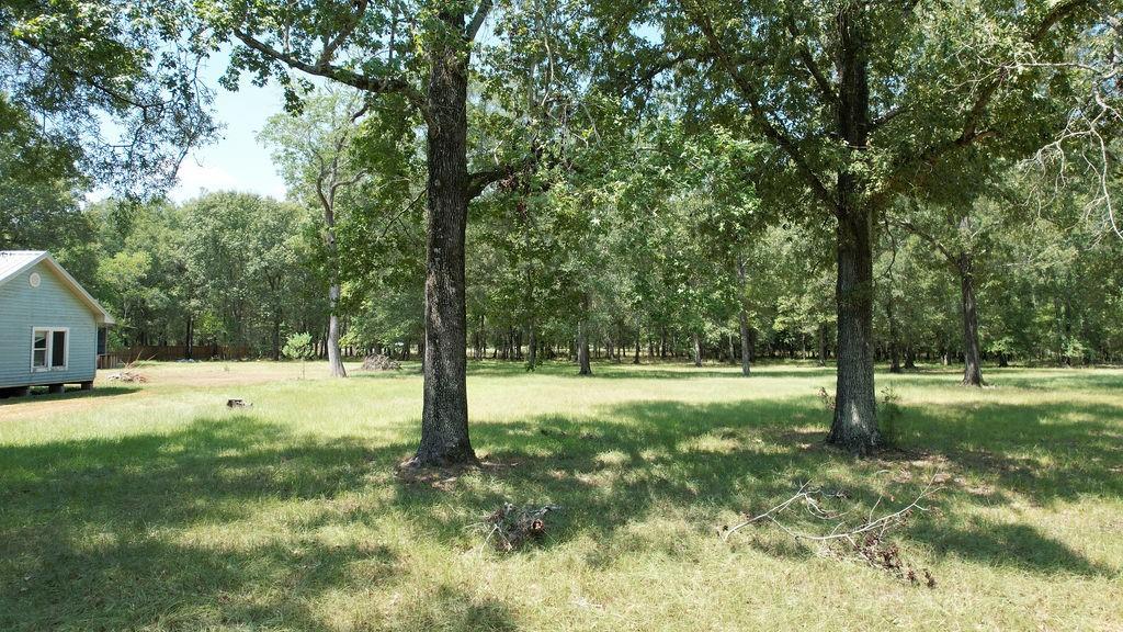 TBD Thomas Lot 98 Road, Huffman, Texas image 4