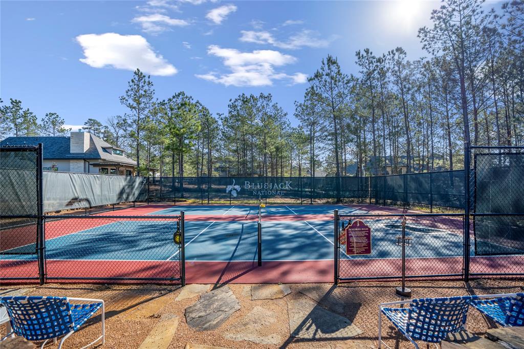 4490 Lily Bean Rd Rd, Montgomery, Texas image 33