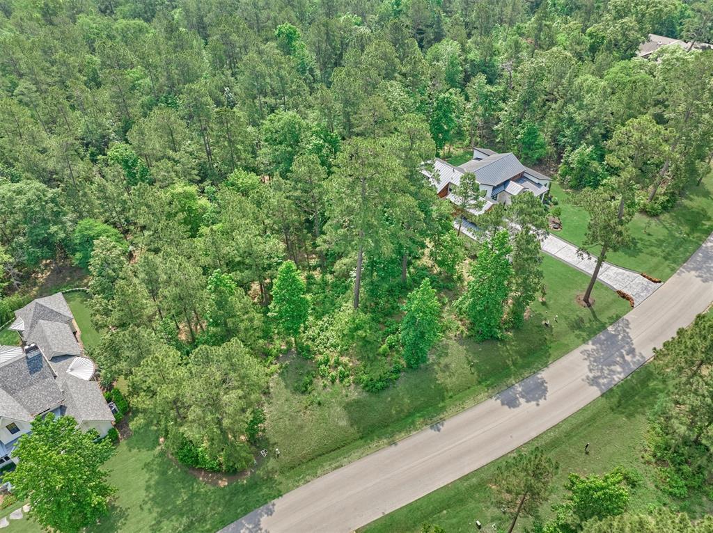 4490 Lily Bean Rd Rd, Montgomery, Texas image 6