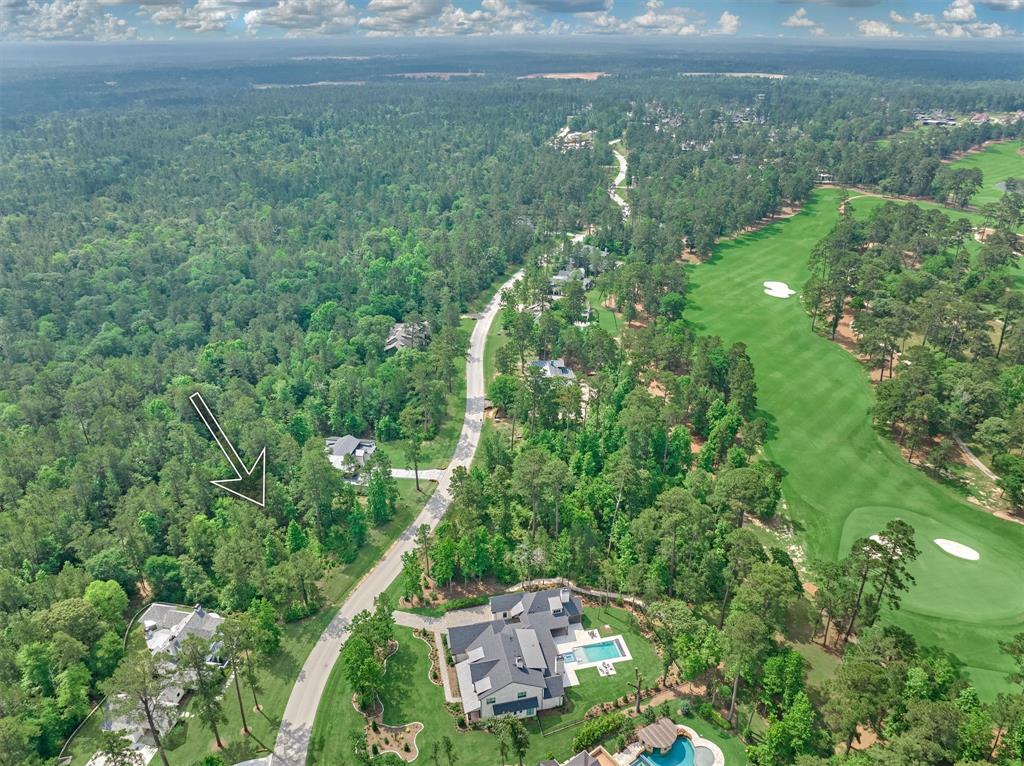 4490 Lily Bean Rd Rd, Montgomery, Texas image 12