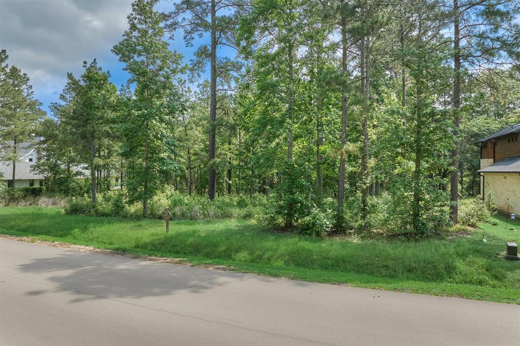 4490 Lily Bean Rd Rd, Montgomery, Texas image 2