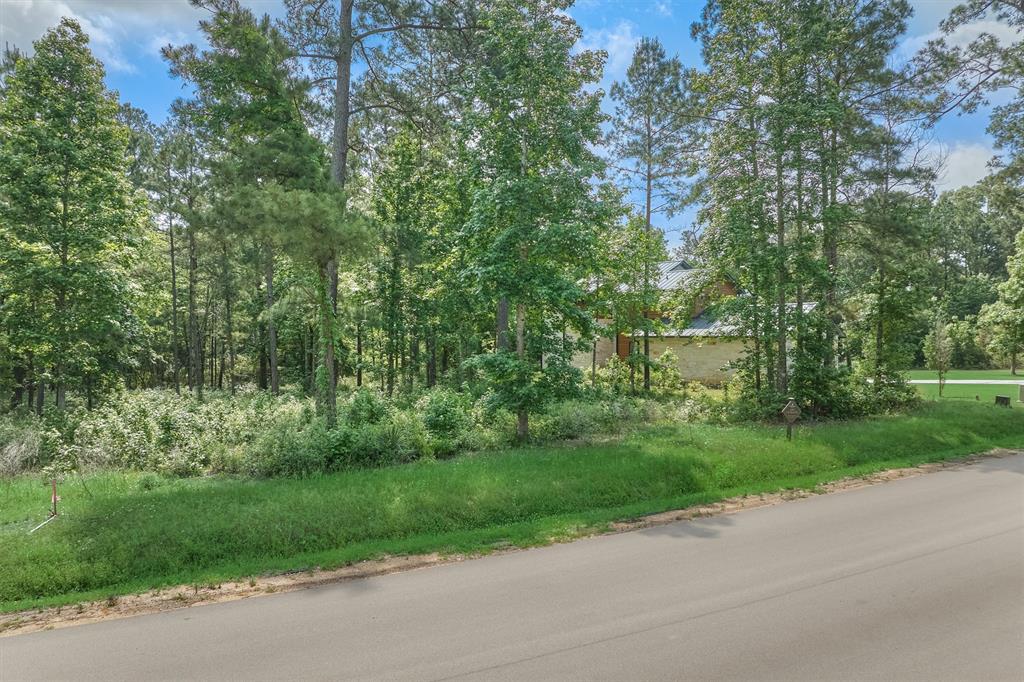 4490 Lily Bean Rd Rd, Montgomery, Texas image 4