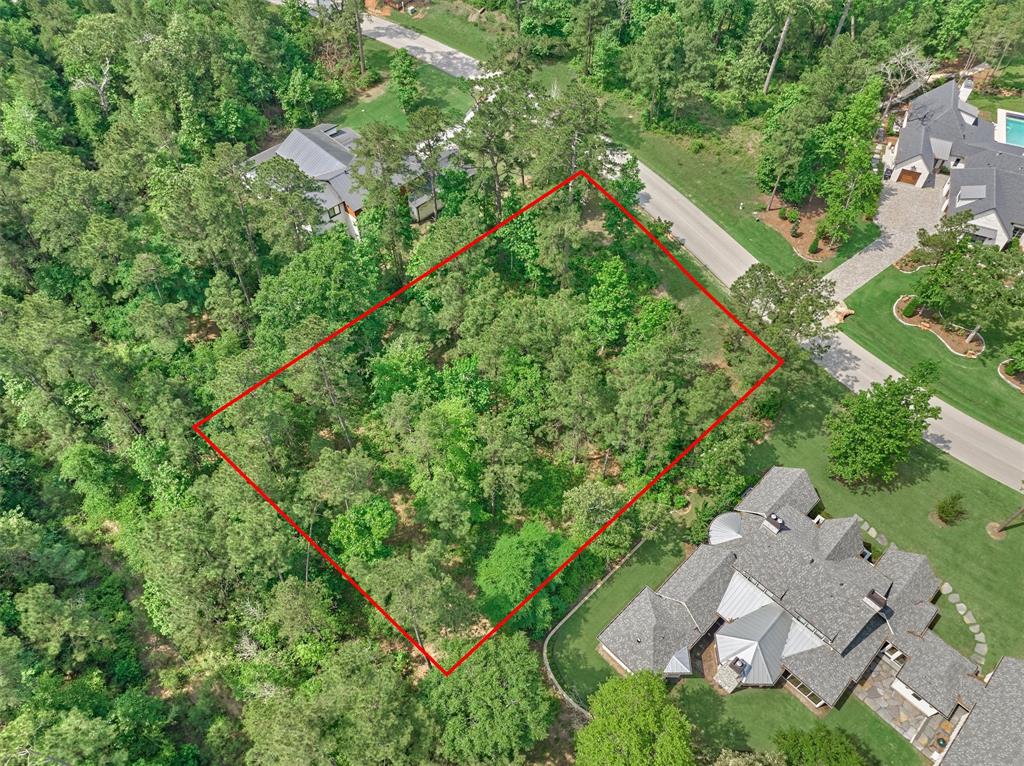 4490 Lily Bean Rd Rd, Montgomery, Texas image 9