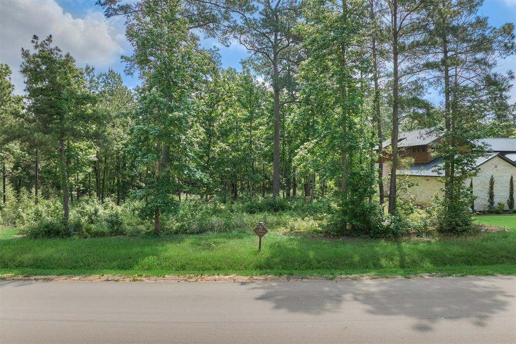 4490 Lily Bean Rd Rd, Montgomery, Texas image 3