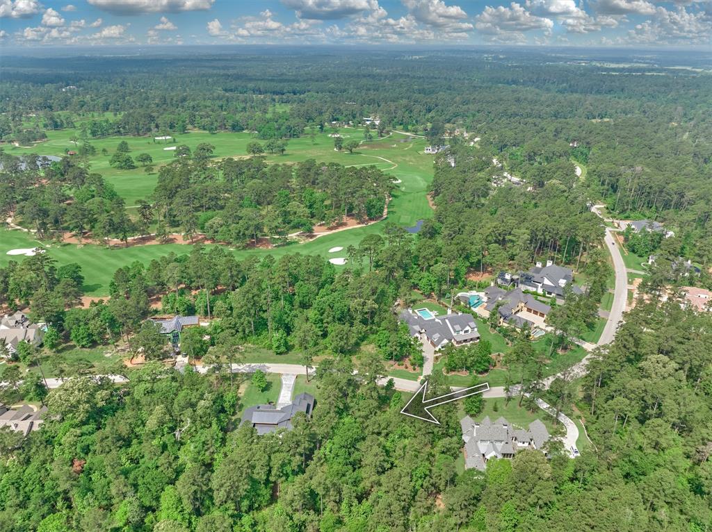 4490 Lily Bean Rd Rd, Montgomery, Texas image 10