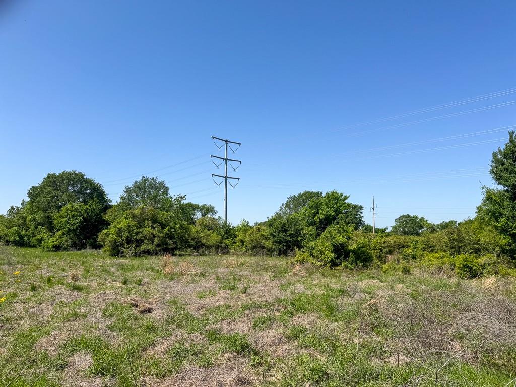 Tract # 1 County Road 123, Iola, Texas image 13